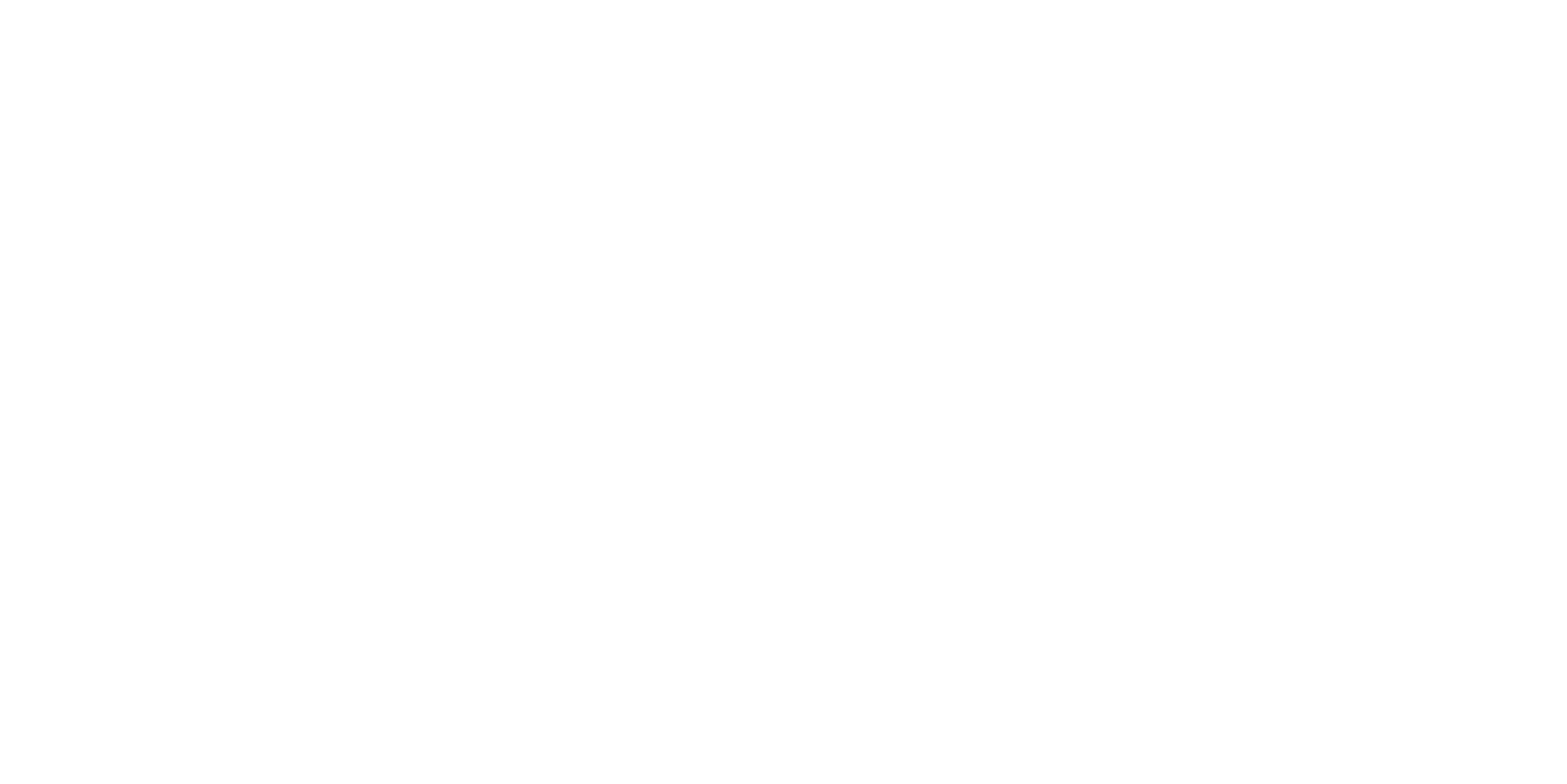 localink-logo-wit-website_Tekengebied-1-1